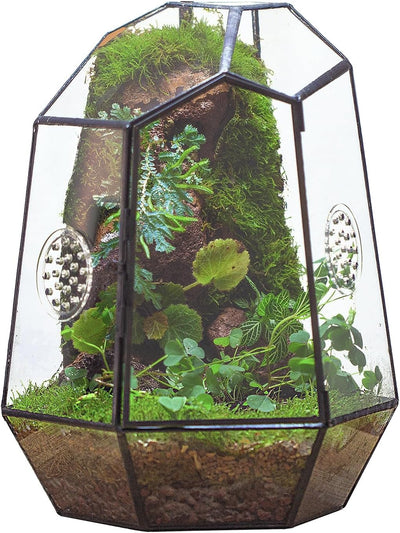 Caja cristal geométrica terrario 7.9x6.9x9.8pulg con ventilación