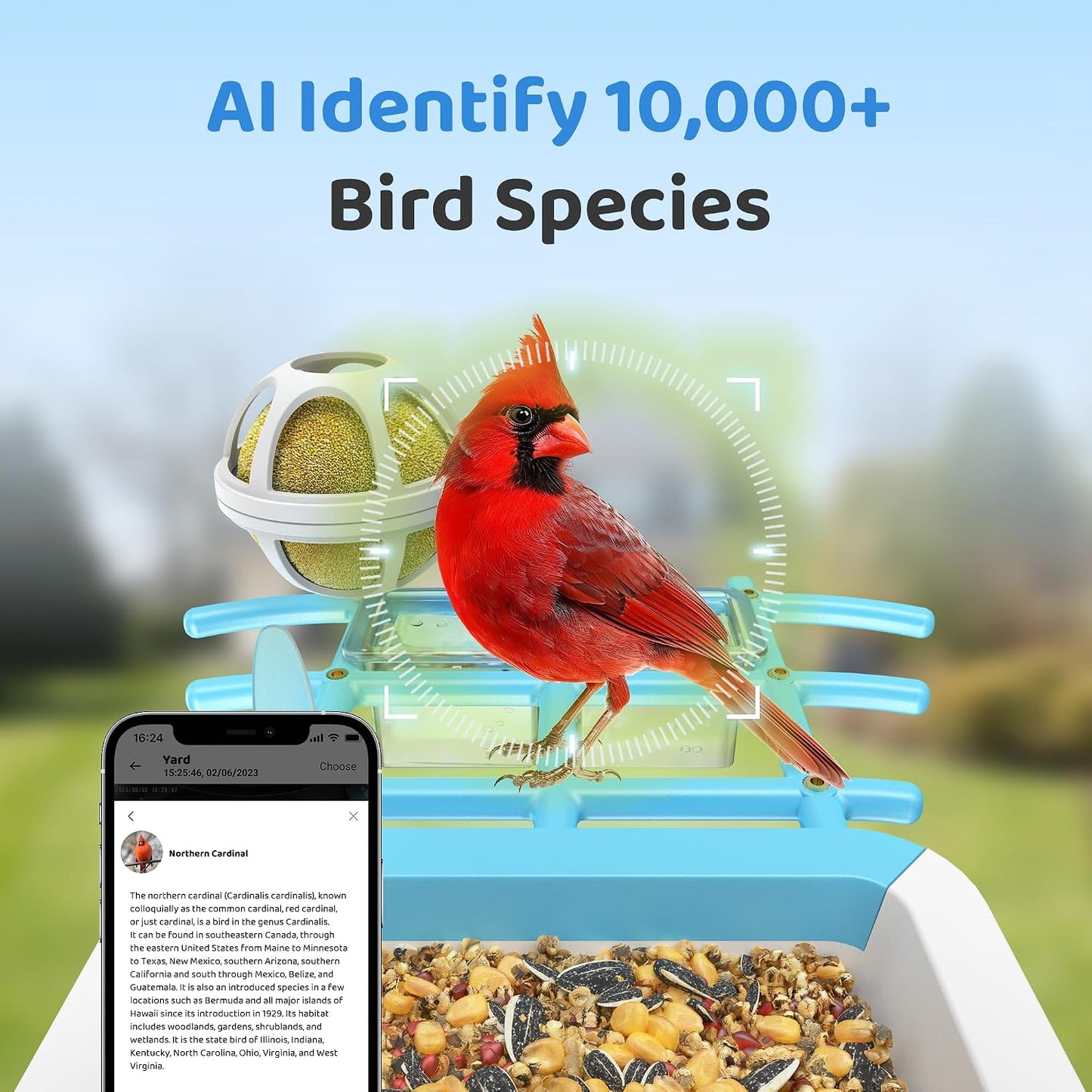 Comedero inteligente para pájaros con cámara solar 2K
