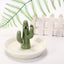 Soporte anillo cactus cerámica plato blanco joyas regalo