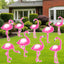 12 Señales Jardín Flamencos Rosa Estacas Decoración Impermeable