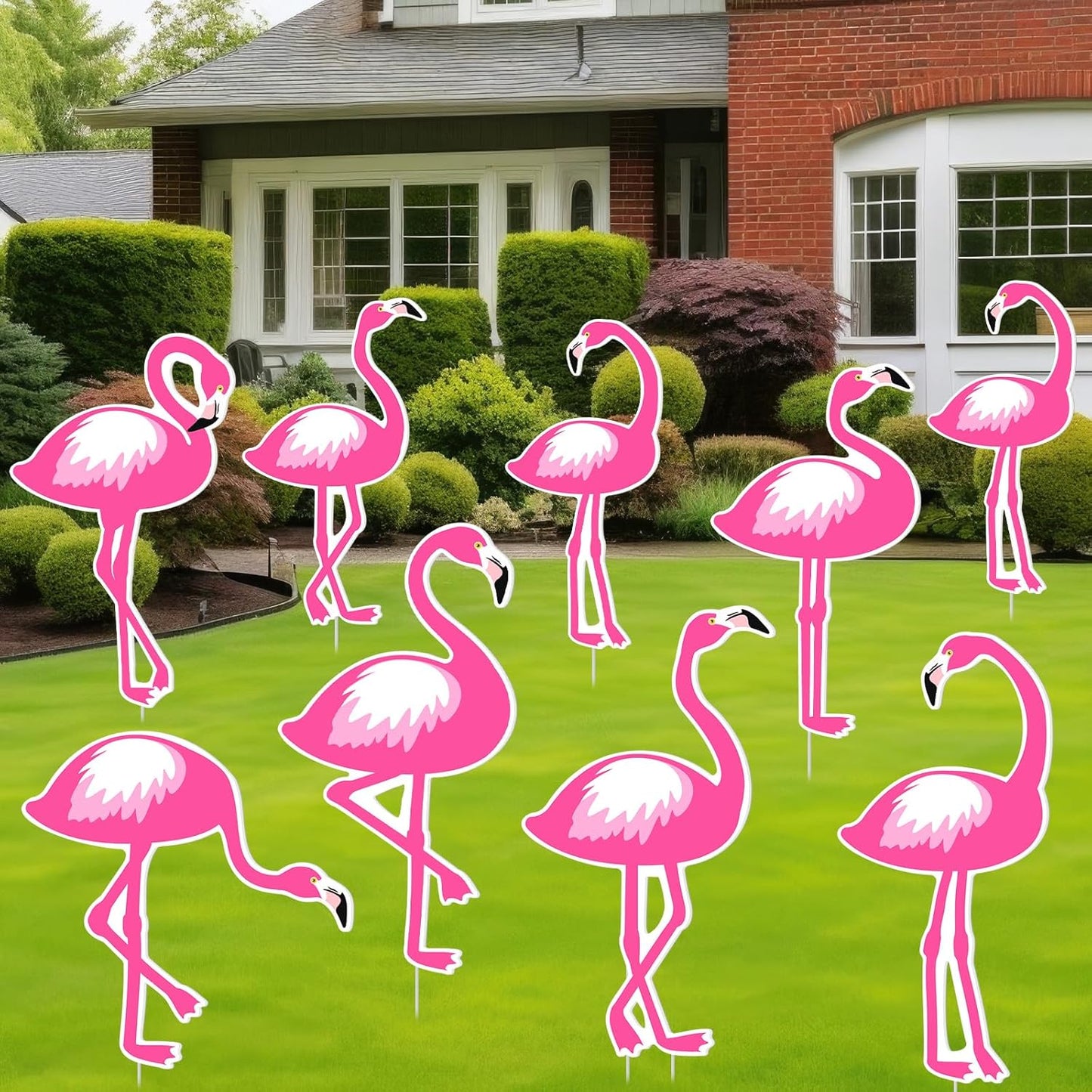 12 Señales Jardín Flamencos Rosa Estacas Decoración Impermeable
