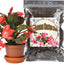 Tierra para macetas cactus Navidad 1qt suculentas