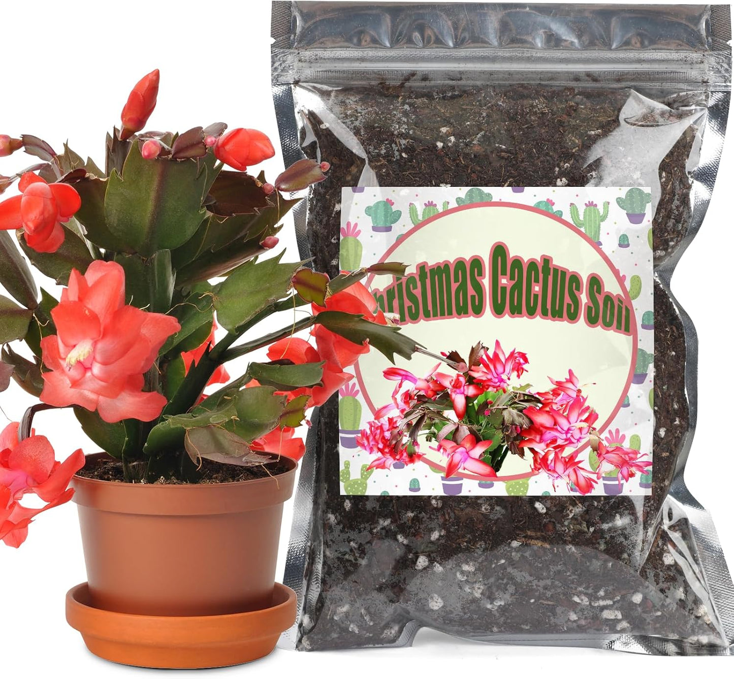 Tierra para macetas cactus Navidad 1qt suculentas