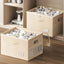 2 Organiz. Zapatos con Ventana Beige 19.7x15.7x13"