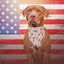 Bandana perro bandera estadounidense 4 de julio duradera