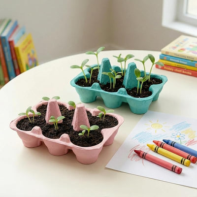 Kit flores semillas 2 cajas huevos ecológicos girasol margarita