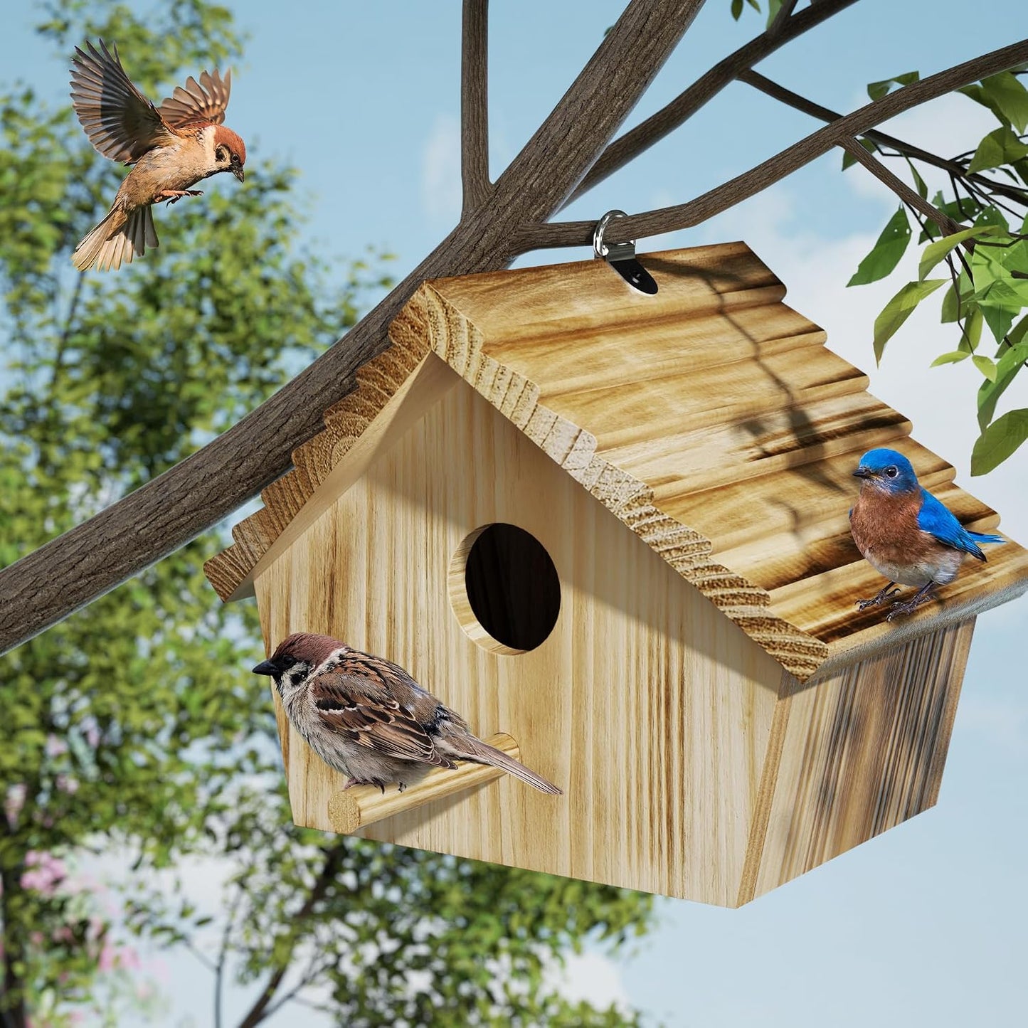 Casa pájaros colgante madera exterior para cardenales