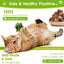 9 Bolas Juguete Gato Hierba Gatera Lana Fruta Agalla Plateada