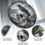 Atrapasol calavera cuervo cristal emplomado metal