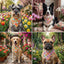 Bufanda floral perro grande tela duradera 2 pzas