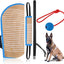 Set 4 Pzas Entrenamiento Perro con Pelota Goma