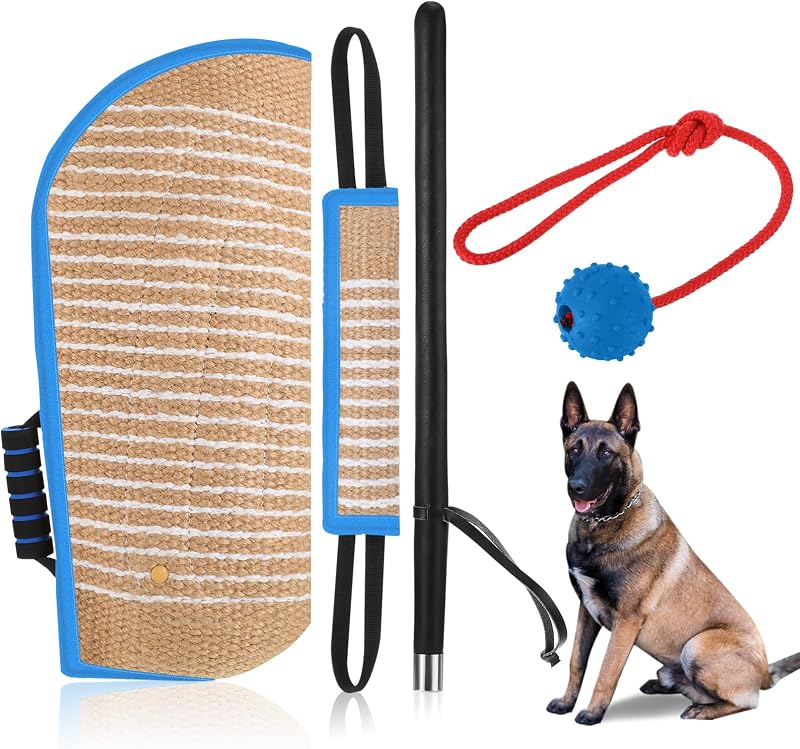 Set 4 Pzas Entrenamiento Perro con Pelota Goma