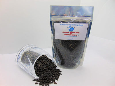 Semillas girasol para brotar microverdes 4oz ricos en s y minerales