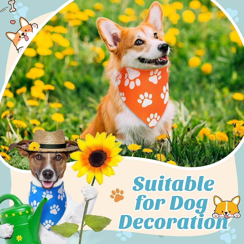 30 Bandanas Triangulares Perros Estampado Arco Iris