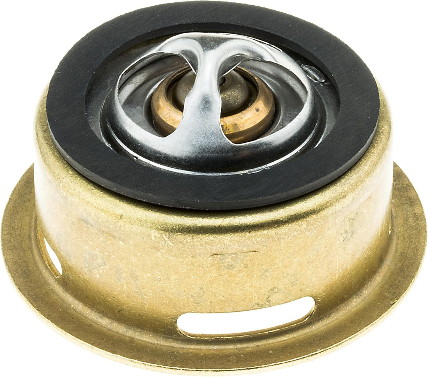Stant Termostato de Acero Inox para Cocina