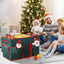 Caja almacenamiento adornos Navidad 2en1 5 bandejas
