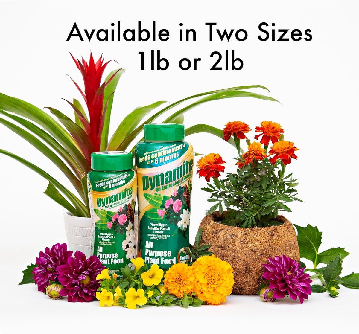Alimento multiusos para plantas 1lb