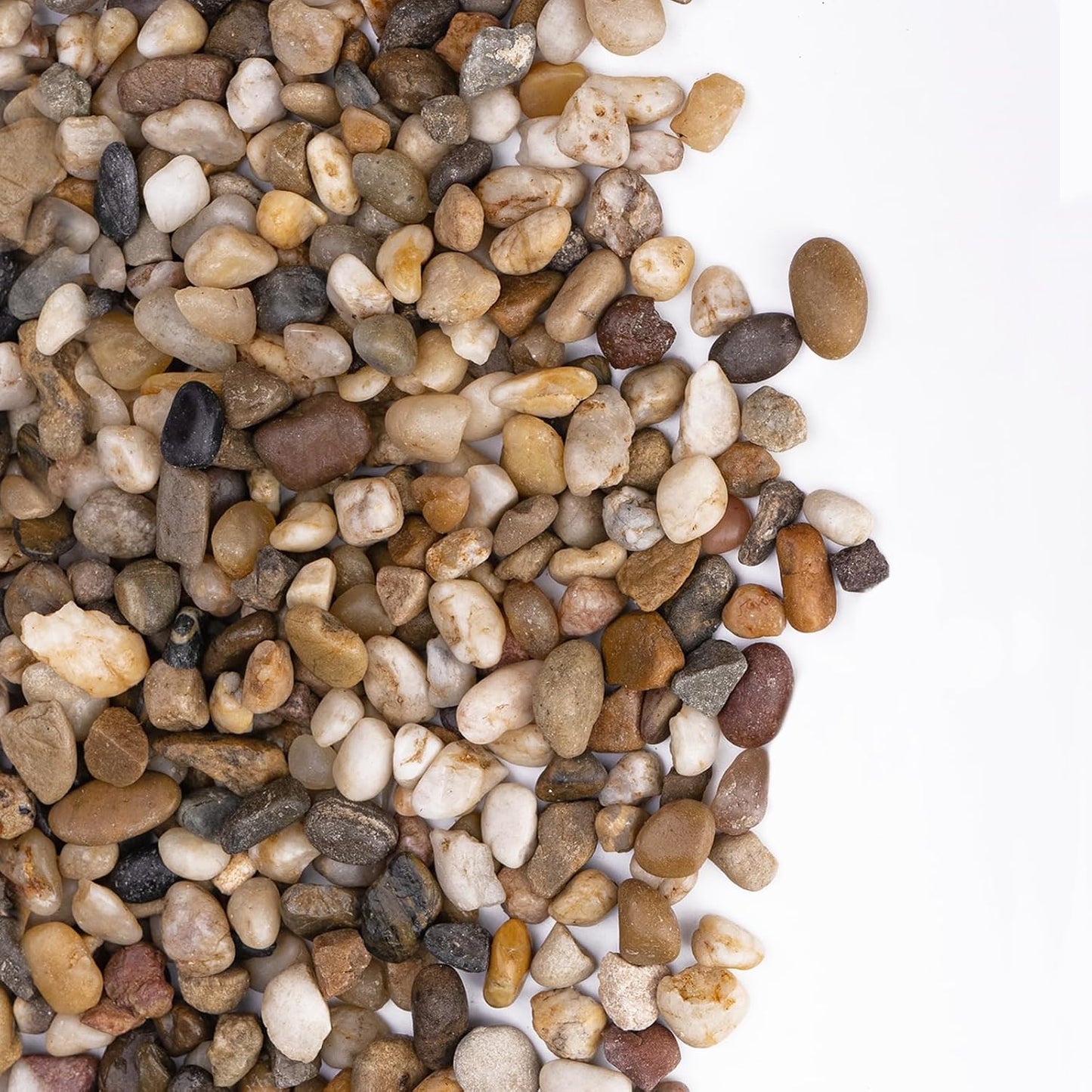 Rocas drenaje 2.5lb para maceta suculentas