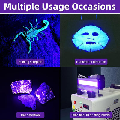 Linterna UV LED 395nm recargable USB-C para mascotas
