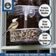 Comedero pájaros con ventosas 2 tazas transparente