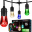 Cadena luces LED blanco cálido 24pies 12 focos
