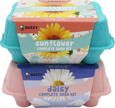 Kit flores semillas 2 cajas huevos ecológicos girasol margarita