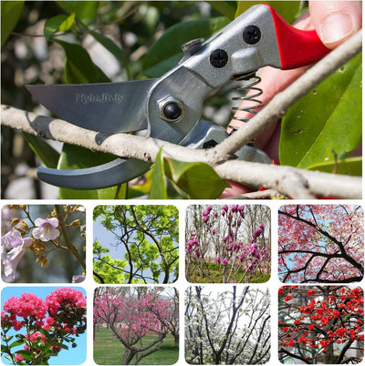 Tijeras podar acero inox SK5 punta recta jardinería rojo