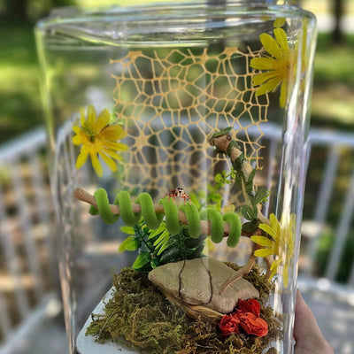 8 Accesorios Telaraña Saltadora con Imanes Verde Caqui