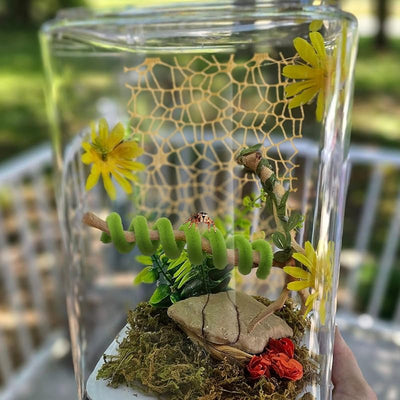 8 Accesorios Telaraña Saltadora con Imanes Verde Caqui