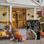 Bandera jardín pavo doble cara 12x18pulg decorativa otoño