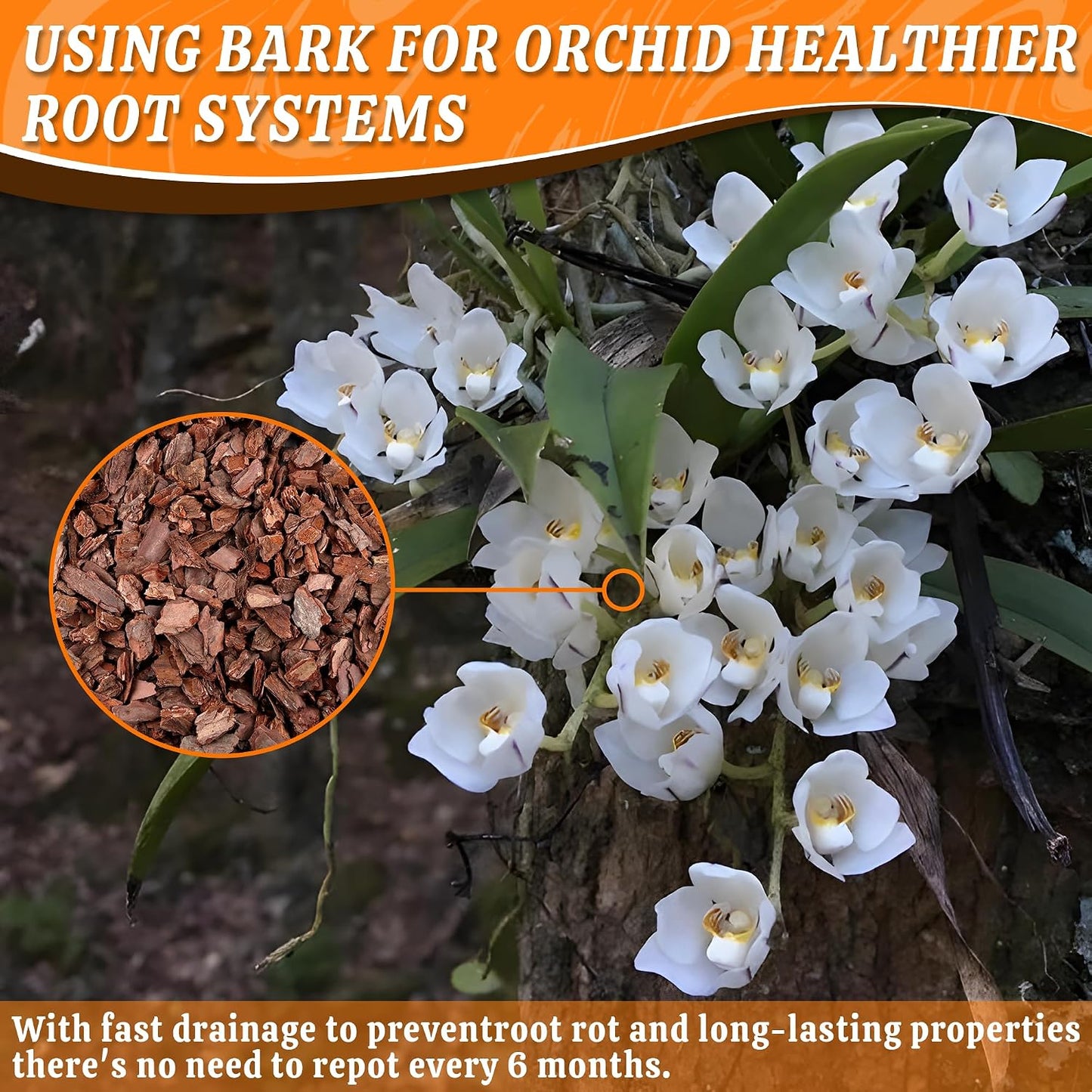 Corteza orgánica para orquídeas 8,5l astillas pino natural