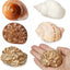 Conchas cangrejo ermitaño 3-3.5pulg decoración sin pintura