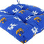 Cojín D para asiento 20x20" Kentucky Wildcats