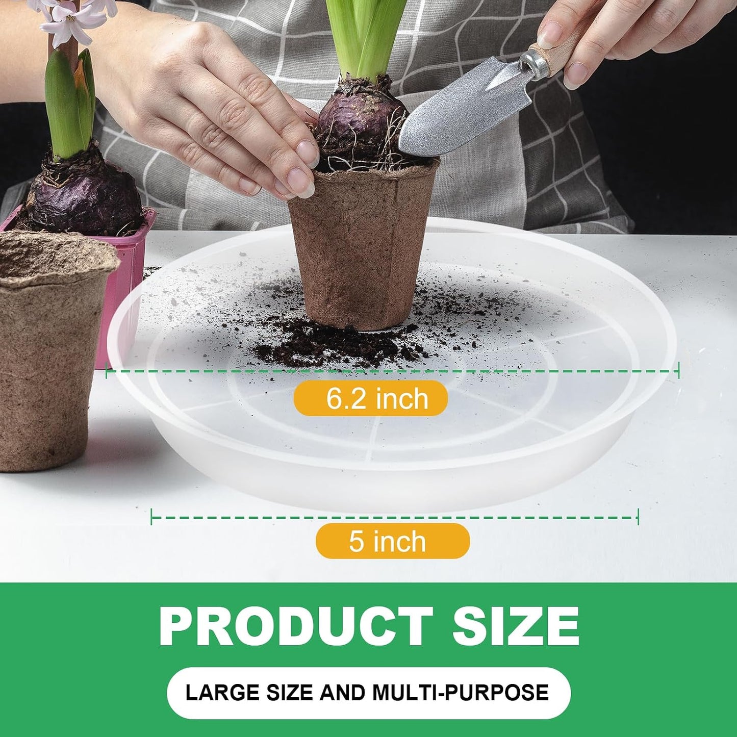 Set 6 platillos plástico transparente para plantas 6-22pulg