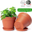 16 Macetas Terracota 4" con Bandeja Drenaje Interior