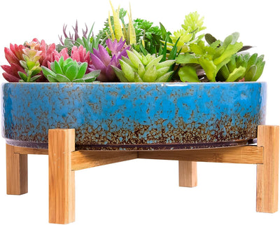 Maceta cerámica 11" soporte bambú suculentas cactus azul