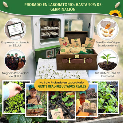 Kit 75 semillas jardín vegetales caja con suministros