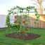 Enrejado arco jardín para plantas trepadoras 6.3ft metal