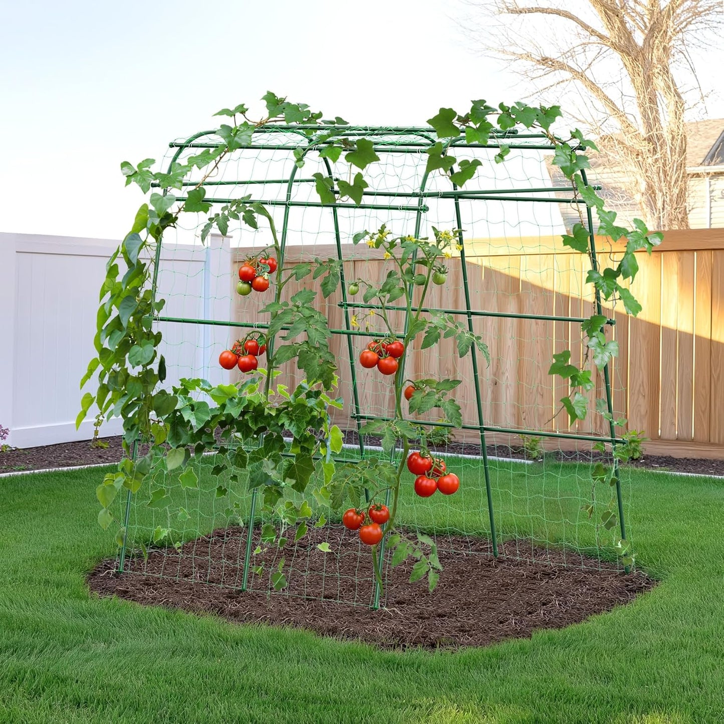 Enrejado arco jardín para plantas trepadoras 6.3ft metal