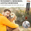 Regalo conmemorativo perro 28" campanillas viento