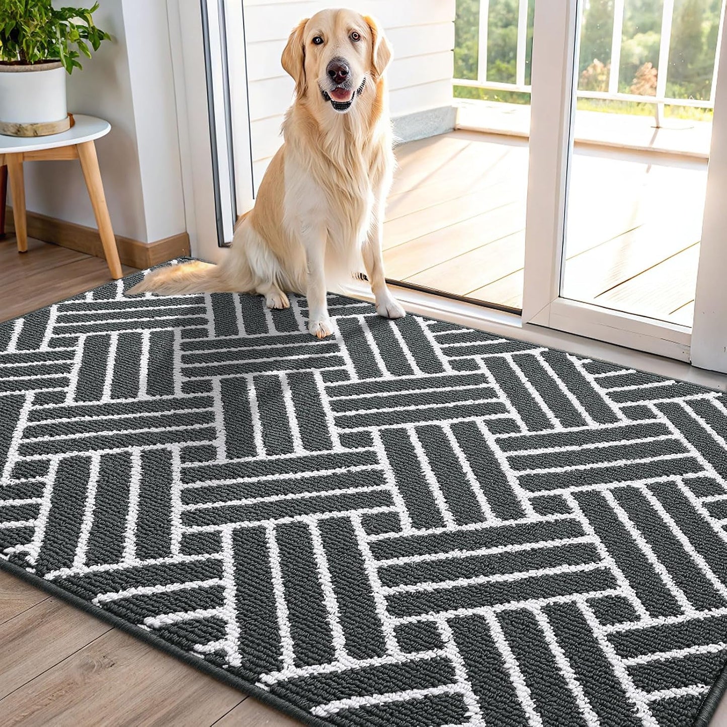 Tapete interior 48x32pulg antiderrap absorbente puerta