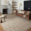 Alfombra decorativa Darby 2'7"x4' DAR-07 gris contemporánea