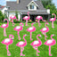 12 Señales Jardín Flamencos Rosa Estacas Decoración Impermeable