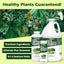 Fertilizante alto nitrógeno para plantas 8.5oz