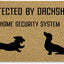 Felpudo perro salchicha para puerta entrada exterior