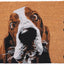 Felpudo Basset Hound marrón/blanco 24x36pulg