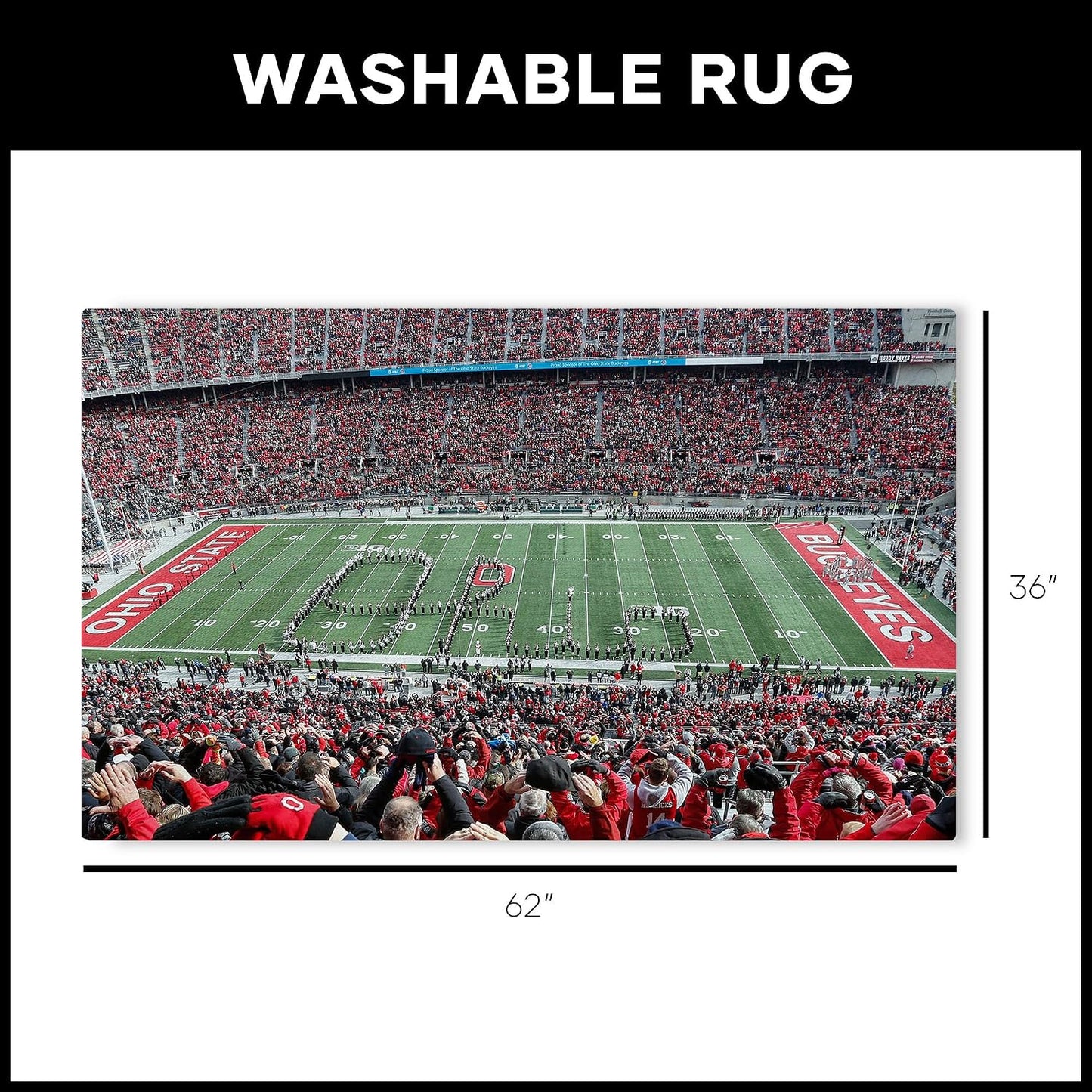 Alfombra lavable Buckeyes 36x62"