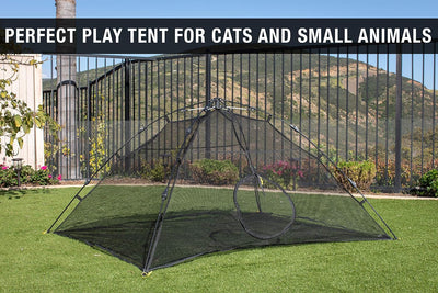 Equipo para gatos domésticos Happy Habitat ABO Gear