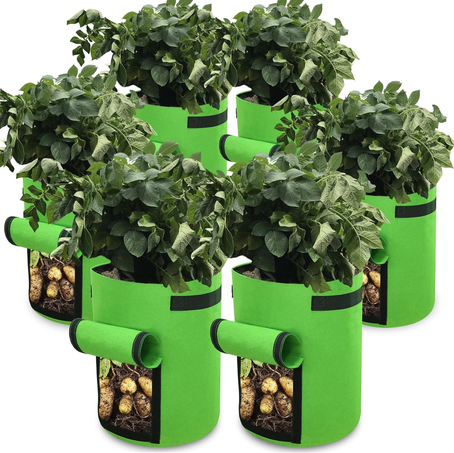 6 Pzas Bolsas Cultivo 10gal Sin BPA con Asas