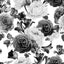 Papel tapiz floral autoadhesivo peonía blanca y negra